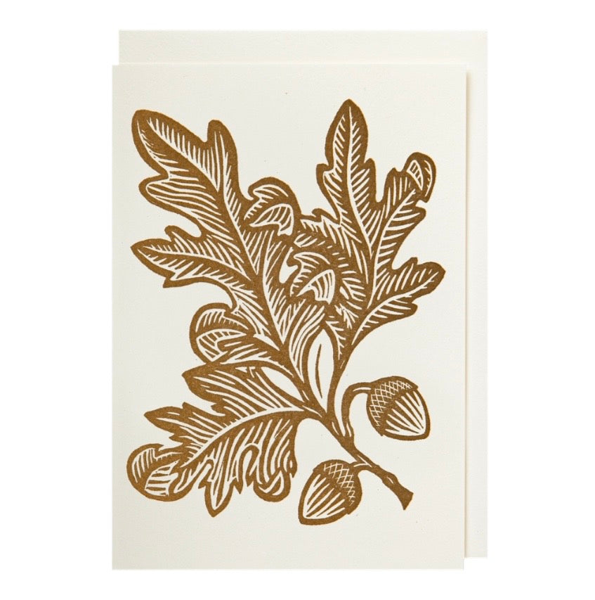 Acorns Notecard and Envelope