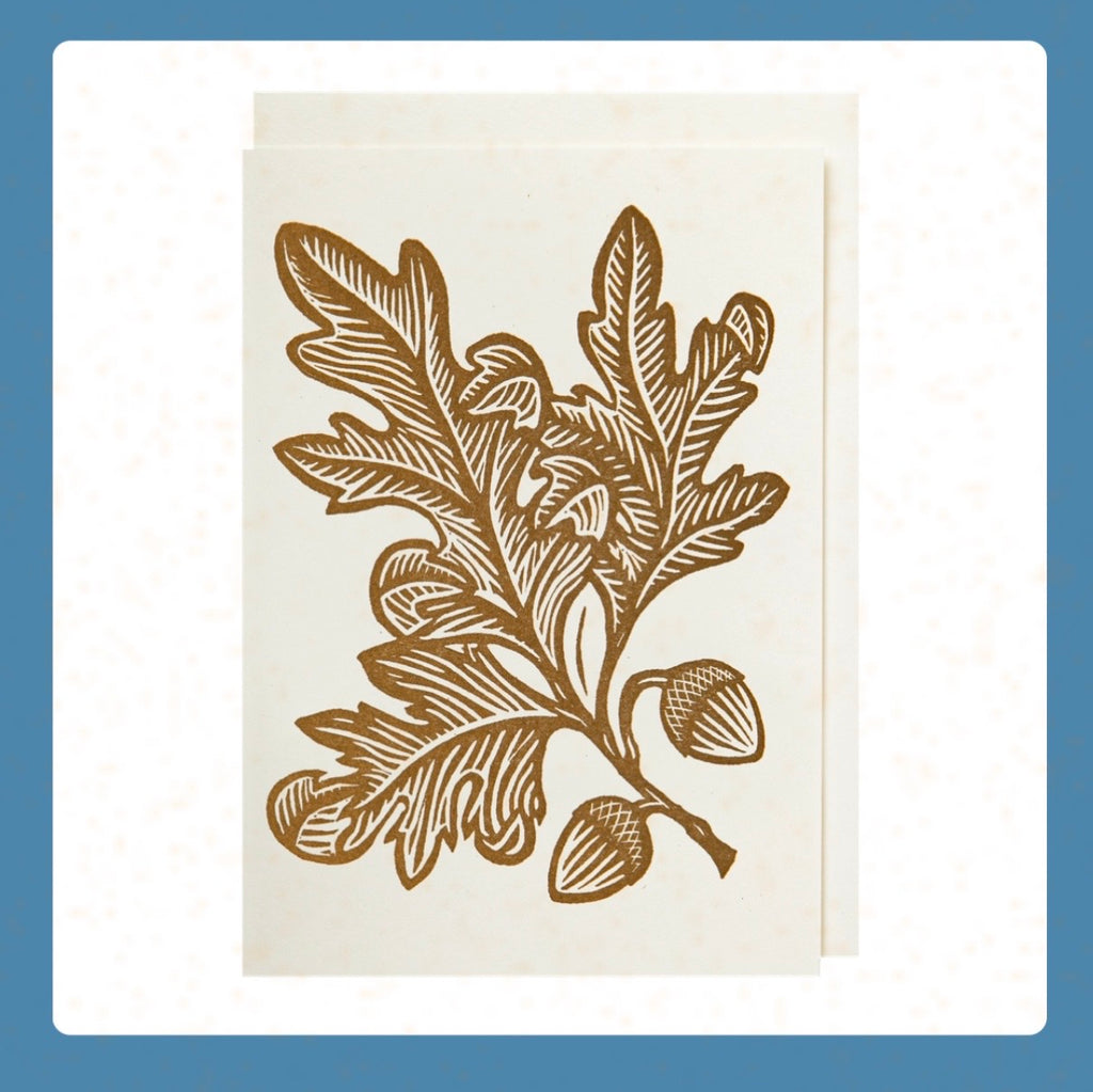 Acorns Notecard and Envelope