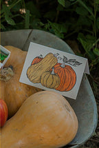 Pumpkins Note Card.