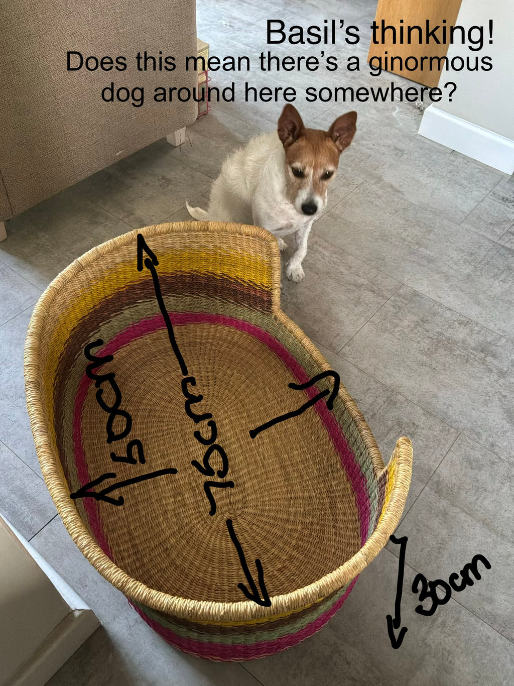 Premium Large Handwoven Dog Bed by FraFra Collective