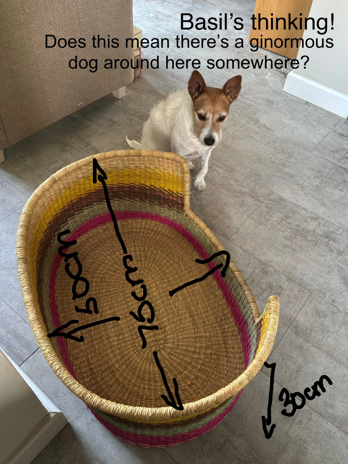Premium Large Handwoven Dog Bed by FraFra Collective
