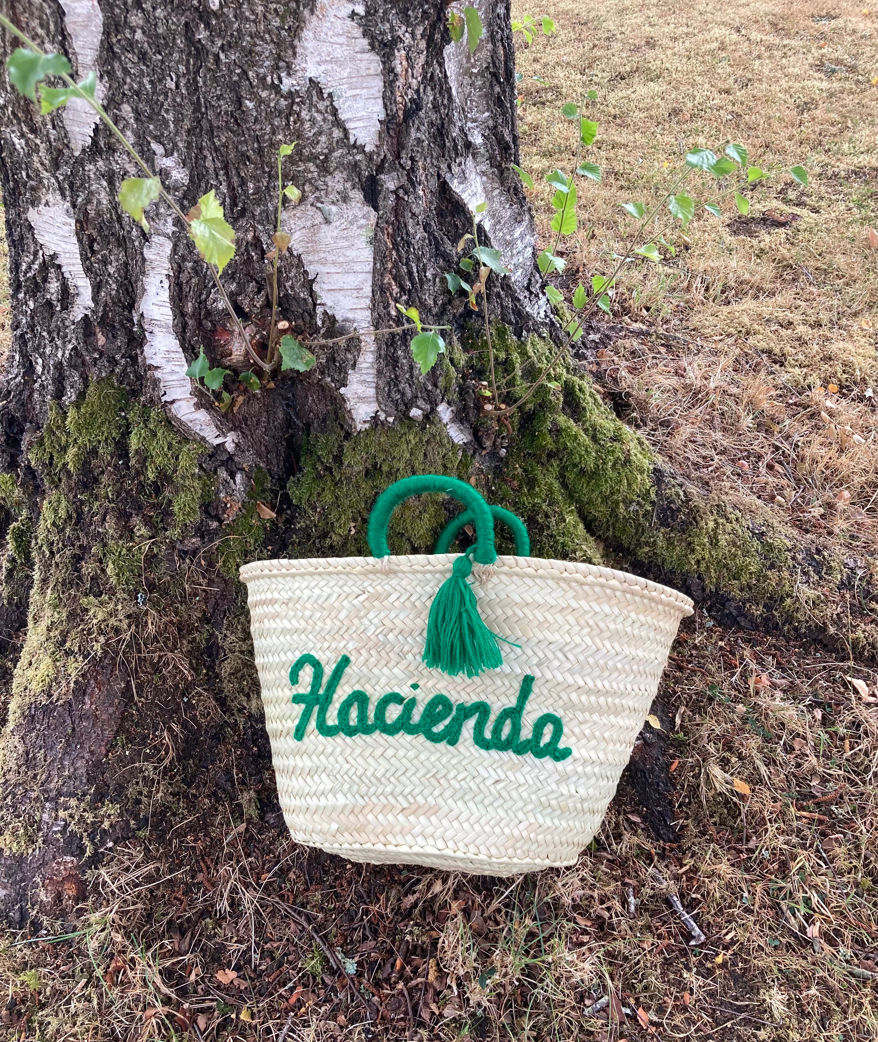 Market Basket ‘Hacienda'