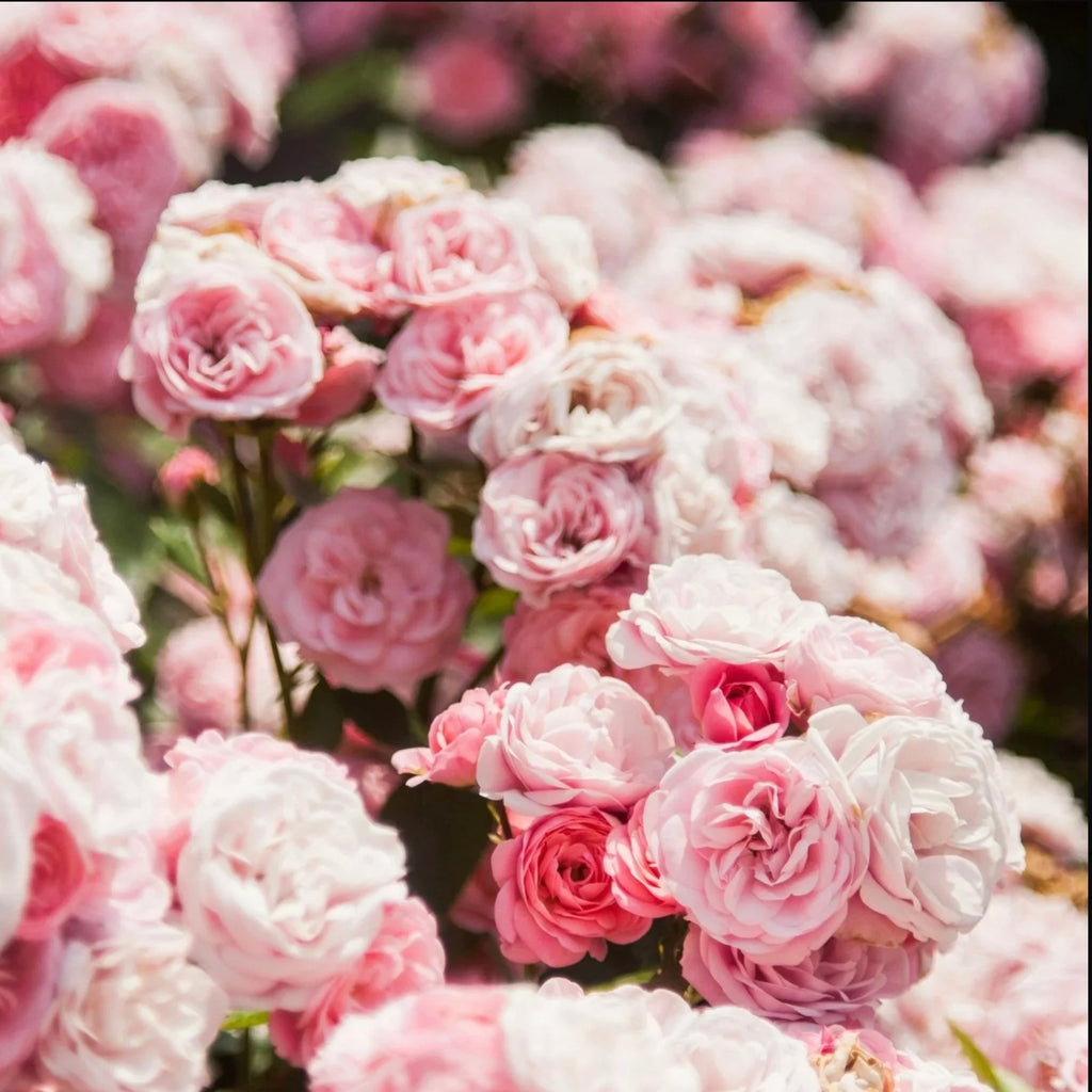 MAKE Bath Rejuvenate Bath Foam - Rose, Geranium, Sandalwood & Lavender