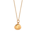 Tiny Shell Pendant Necklace in Gold