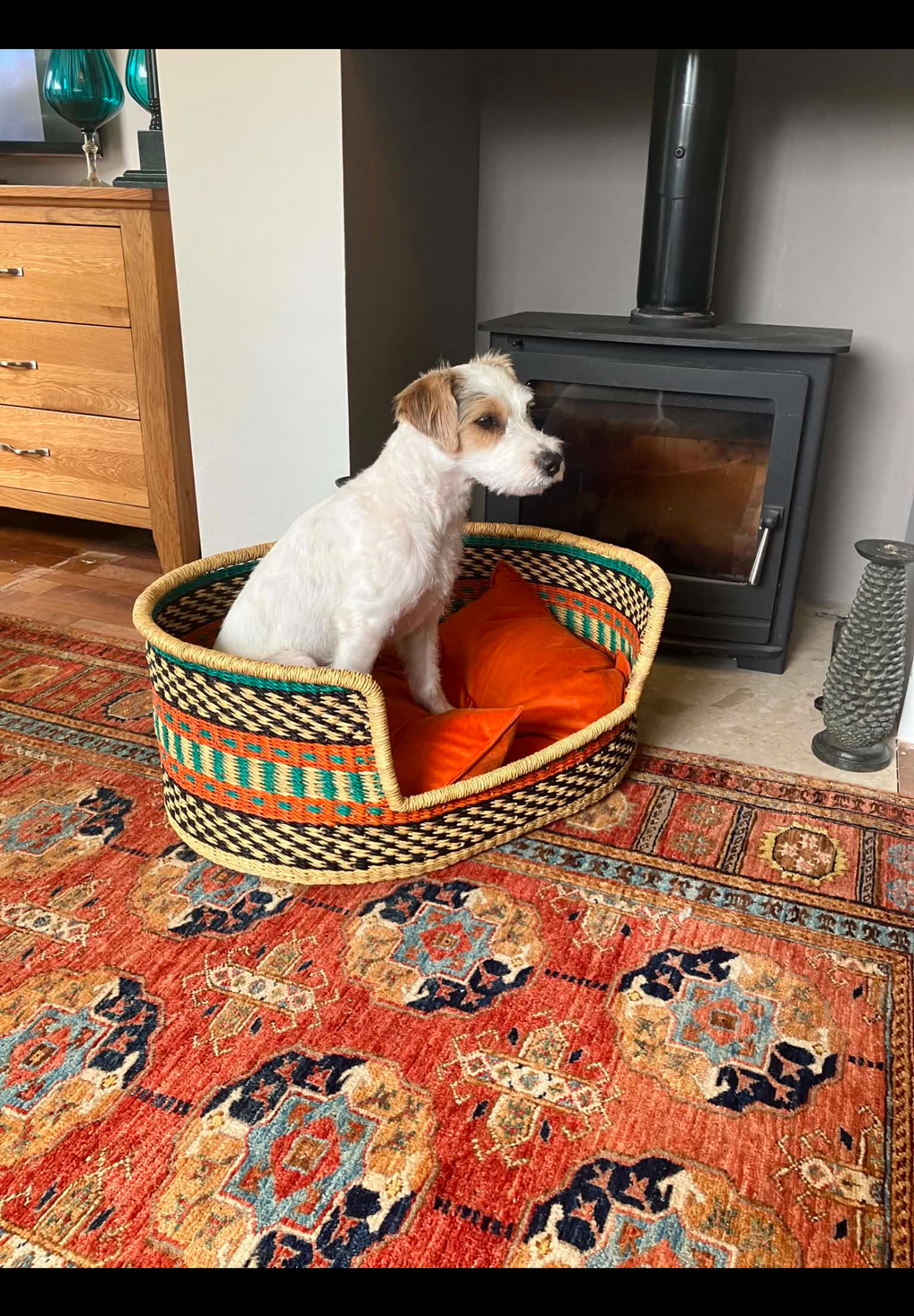Hand Woven Premium Dog Basket by Fra Fra Medium