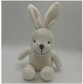 White bunny rabbit