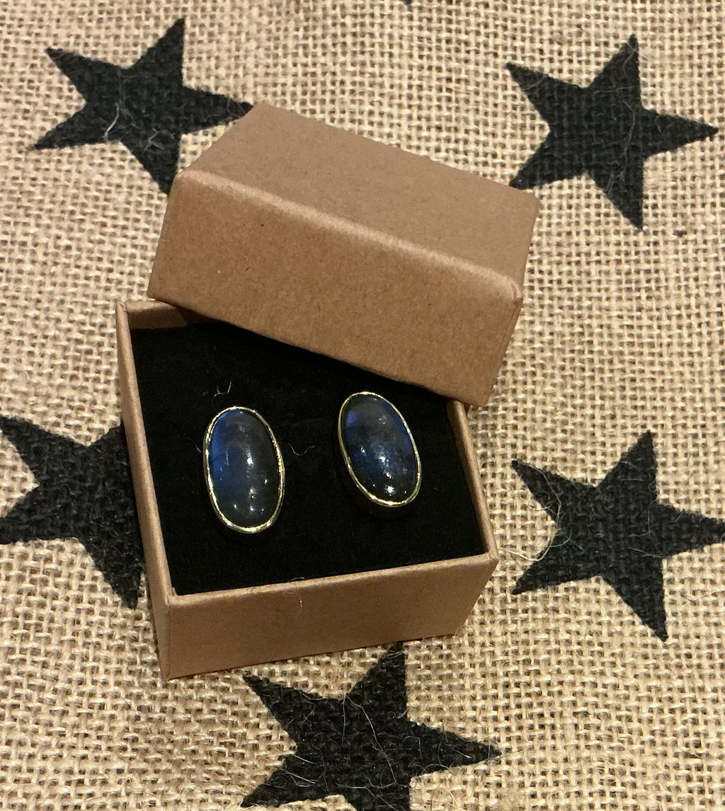 Labradorite earrings set in gold plated silver