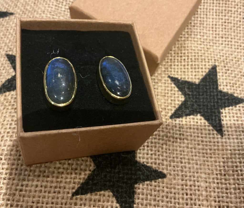 Labradorite earrings set in gold plated silver