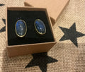 Labradorite earrings set in gold plated silver