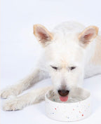 New Party Pet Bowl 16.5 cm set of 2 White