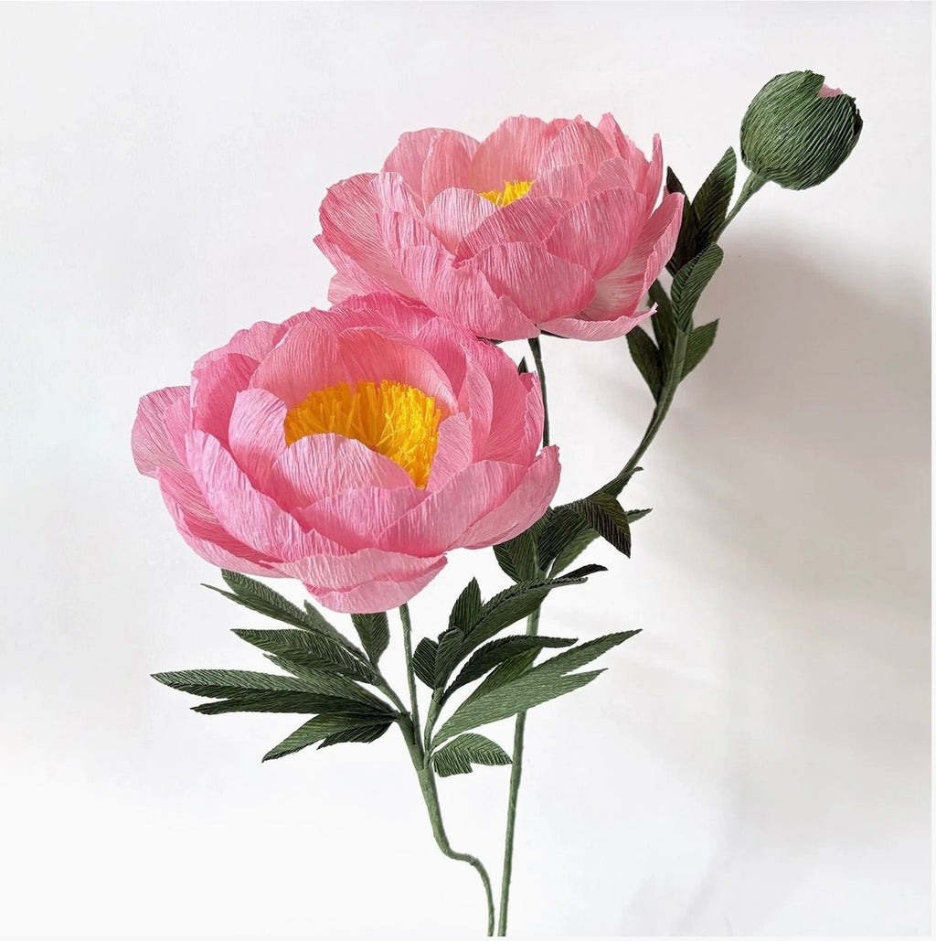 Coral Charm Poppy make your own kit