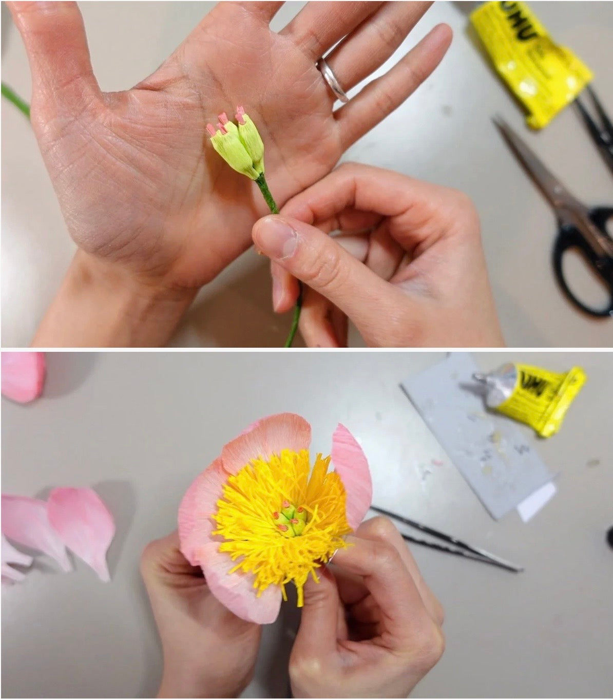 Coral Charm Poppy make your own kit