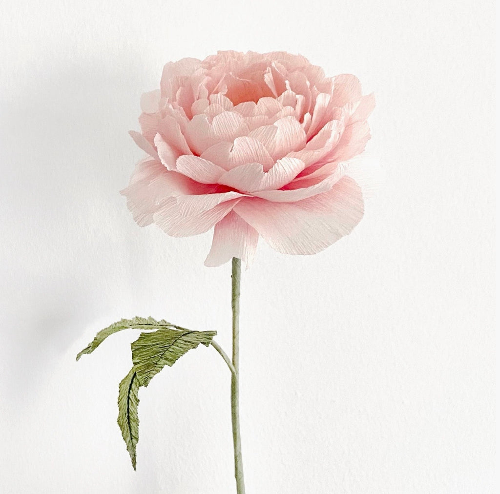 English Rose make your own kit