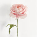 English Rose make your own kit