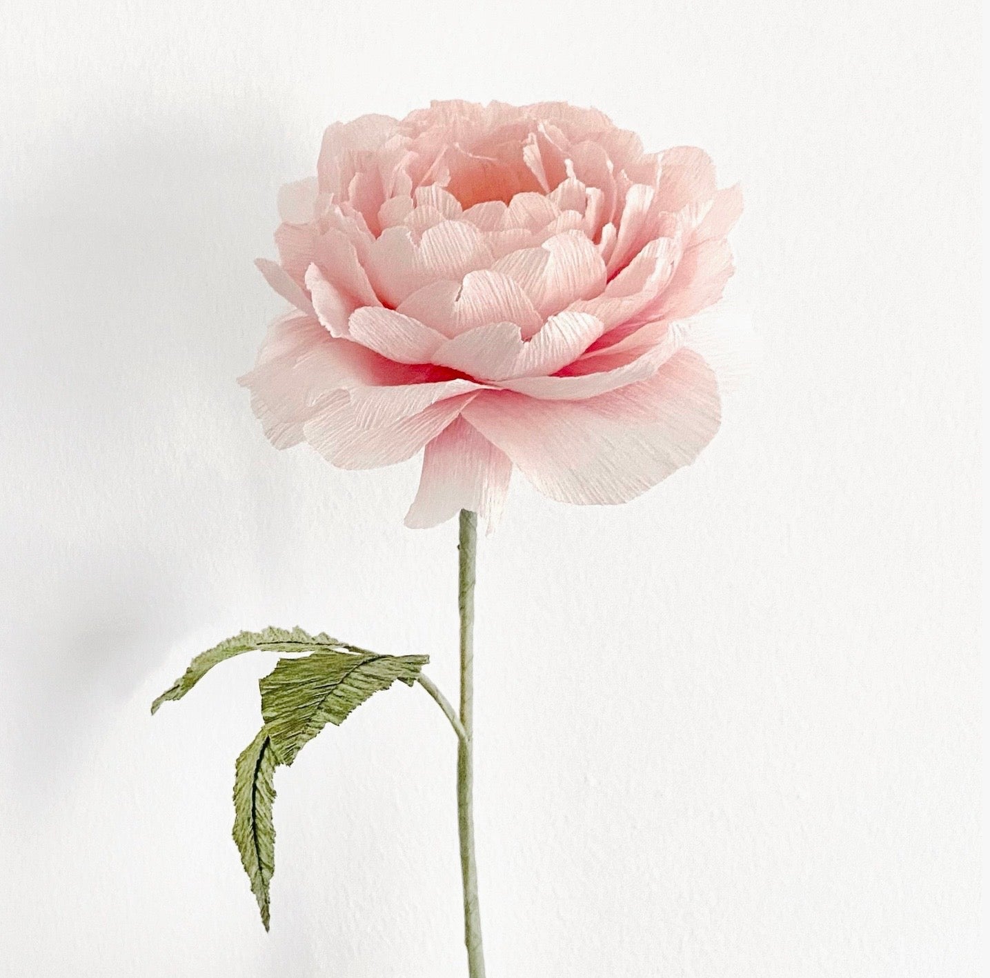 English Rose make your own kit