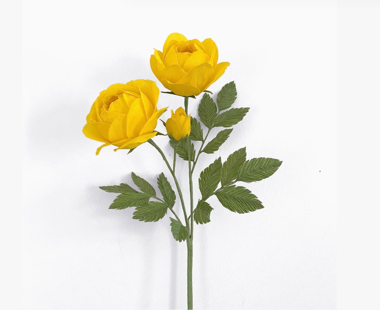 Sulphur Rose Yellow make your own flower kit