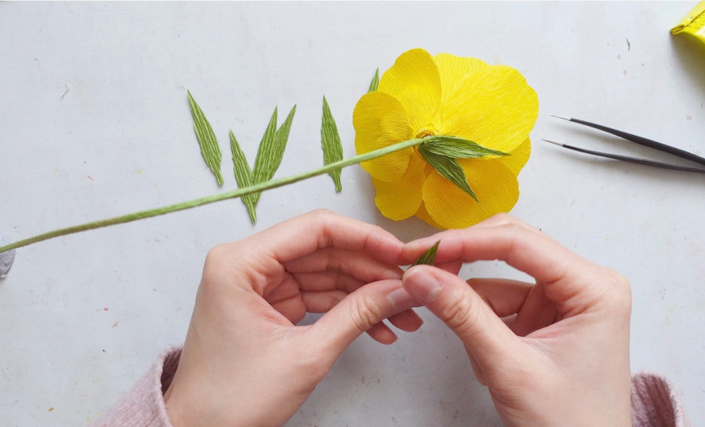 Sulphur Rose Yellow make your own flower kit