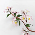 Cherry Blossom Sakura make your own flower kit