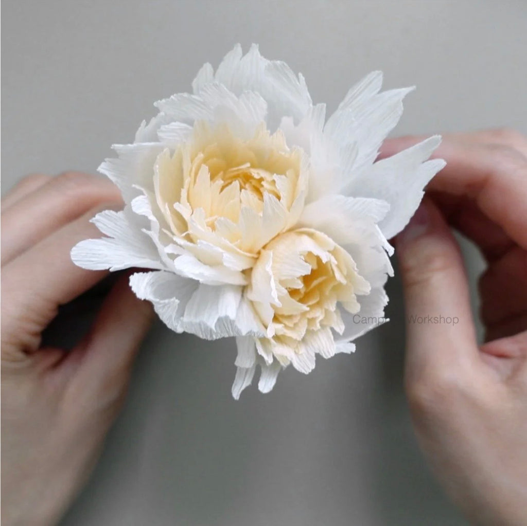 Double Peony make your own flower kit
