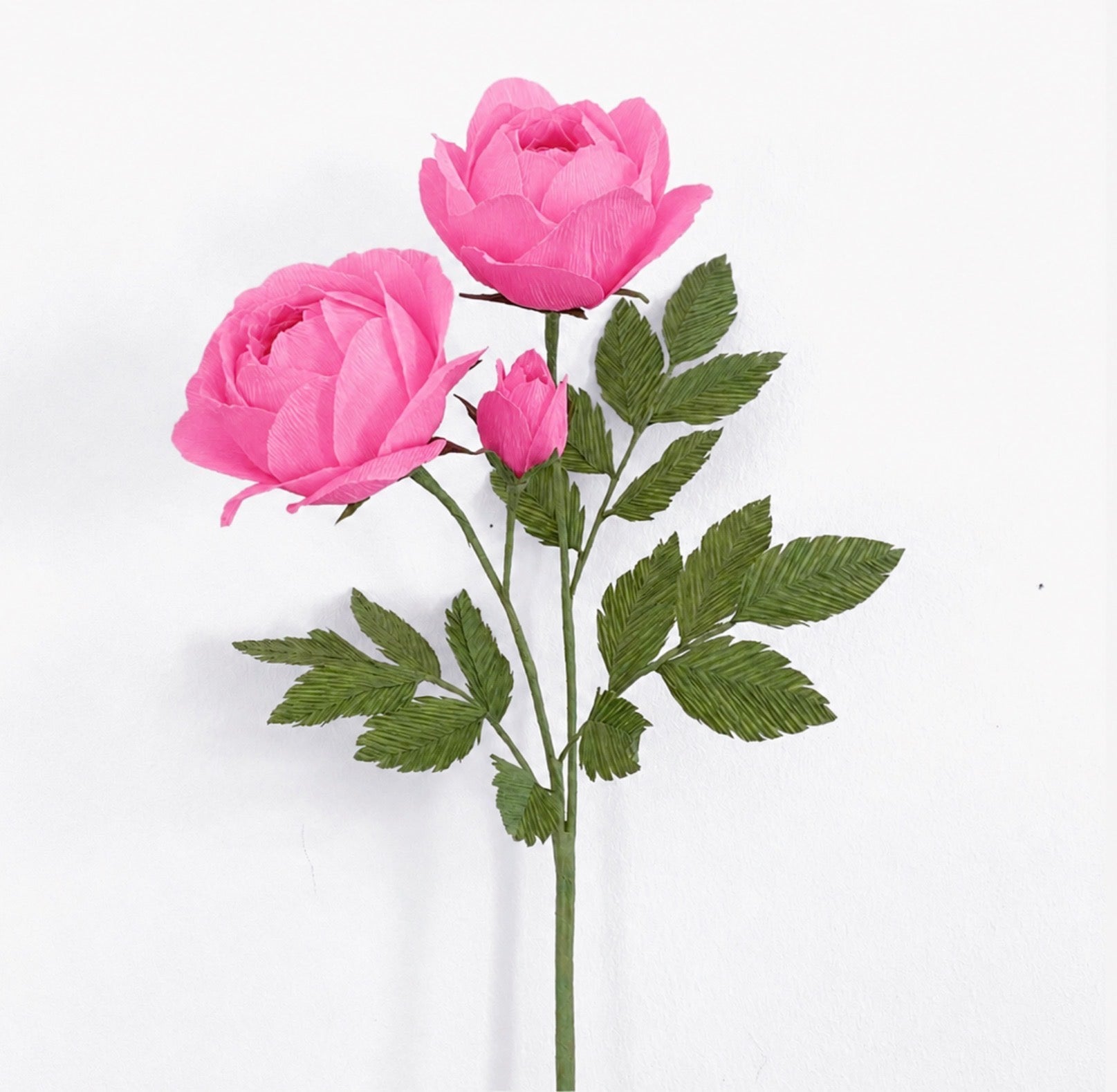 Sulphur Rose Pink make your own flower kit