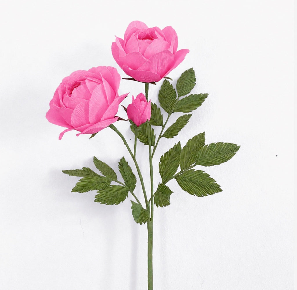 Sulphur Rose Pink - make your own flower kit