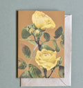 Dandy Star Greetings Cards Flowers on Gold or Silver Foil