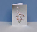 Dandy Star Greetings Card Flowers on Foil