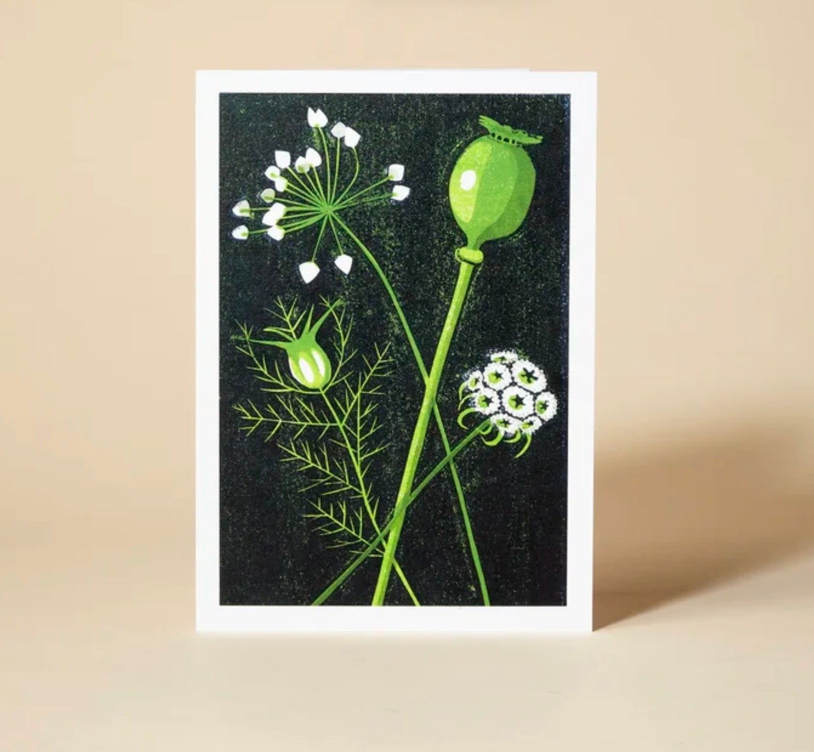 Greetings Card - Seed Heads