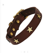 Brown Leather Star Studded  Dog Collar Leather Gold Stars size 2