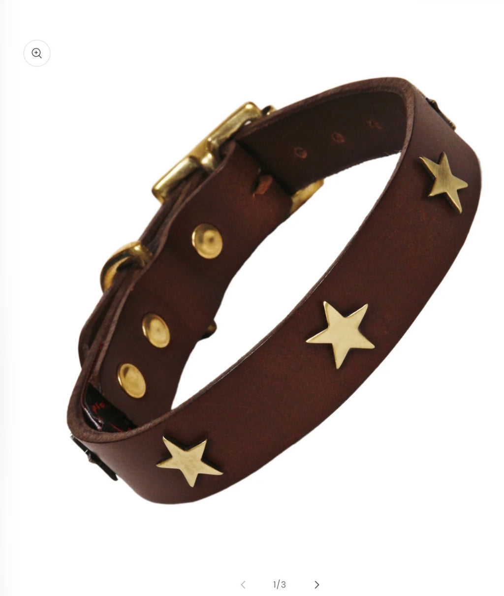 Brown Leather Star Studded  Dog Collar -Gold Stars size 3
