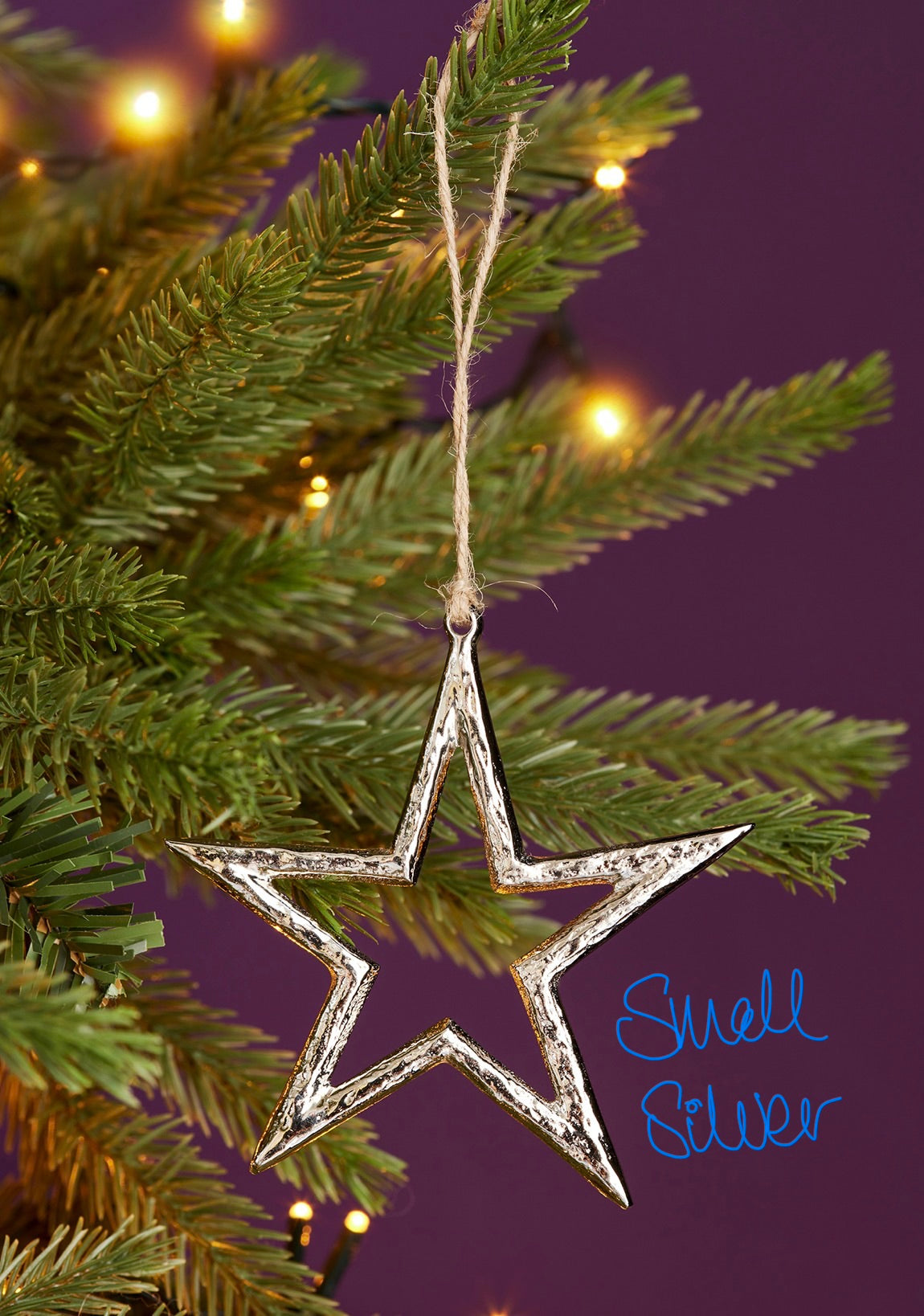 Silver Star Tree Decoration-Small