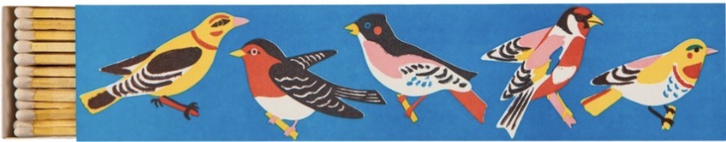 Birdy Long Matches
