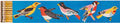 Birdy Long Matches