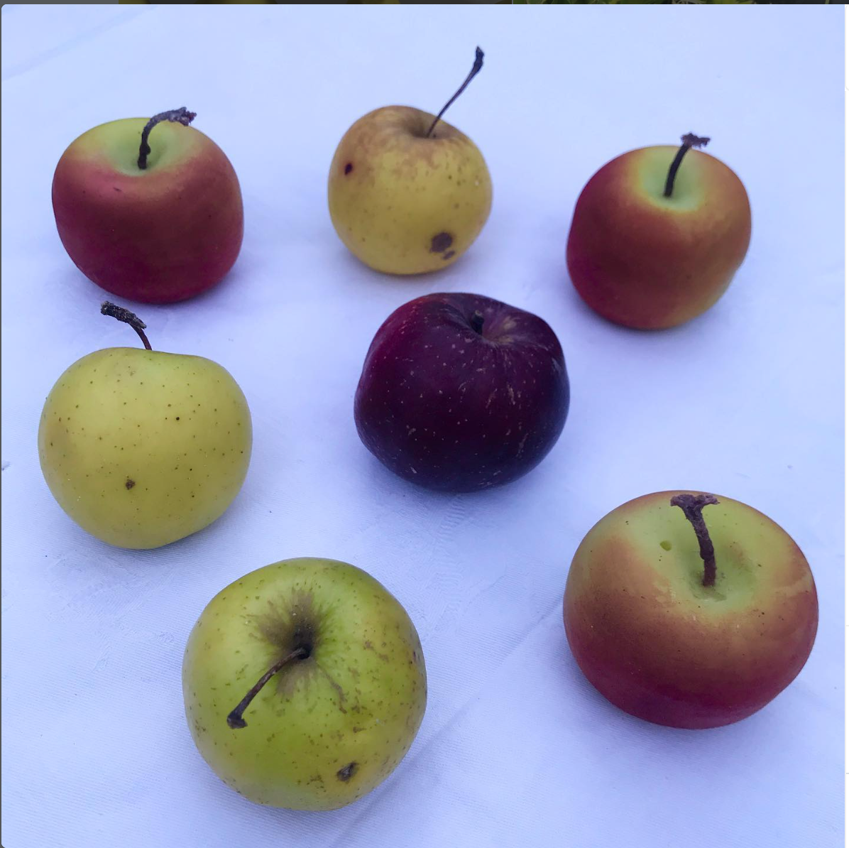 Bombi Apple Candle